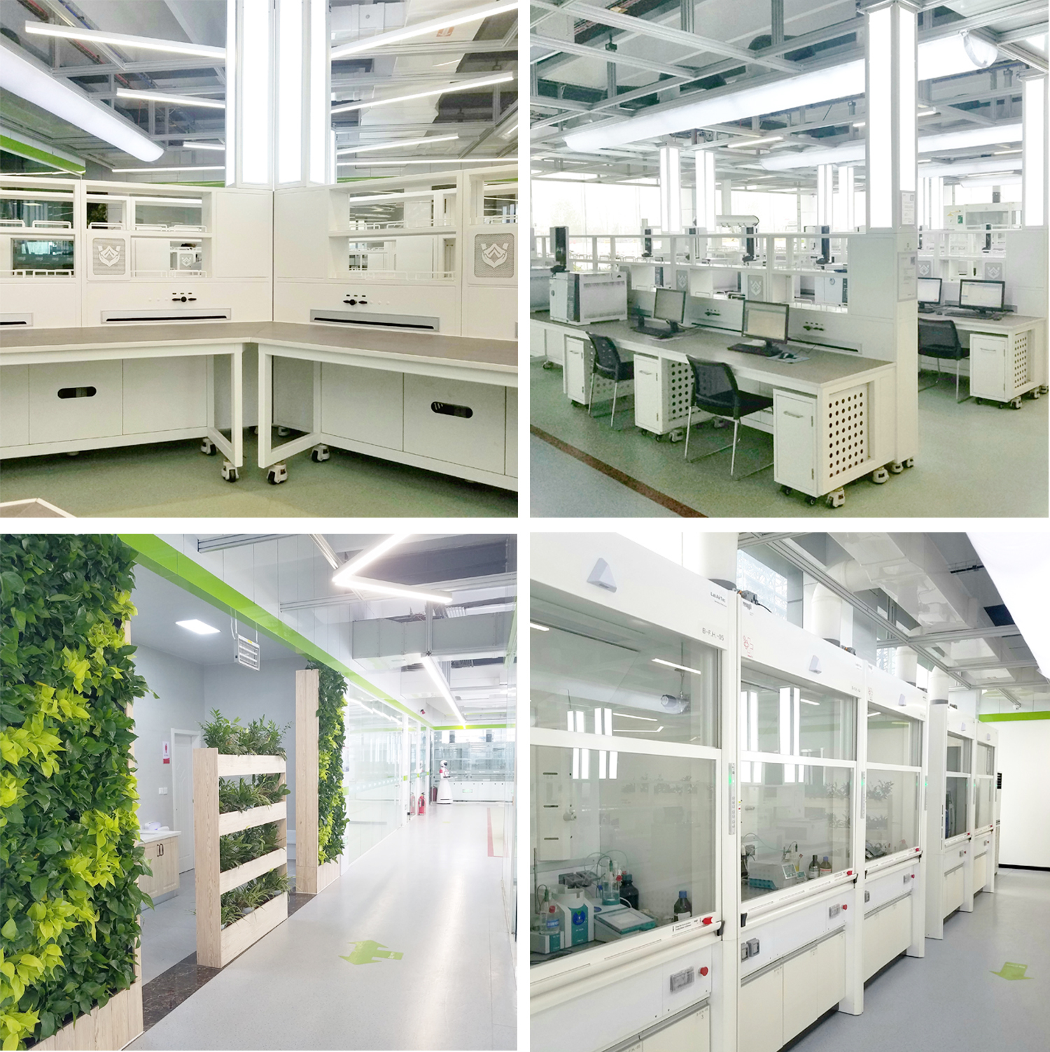 打造专业智能化实验室 助力员工三大环境建设-公司新闻-京博石化